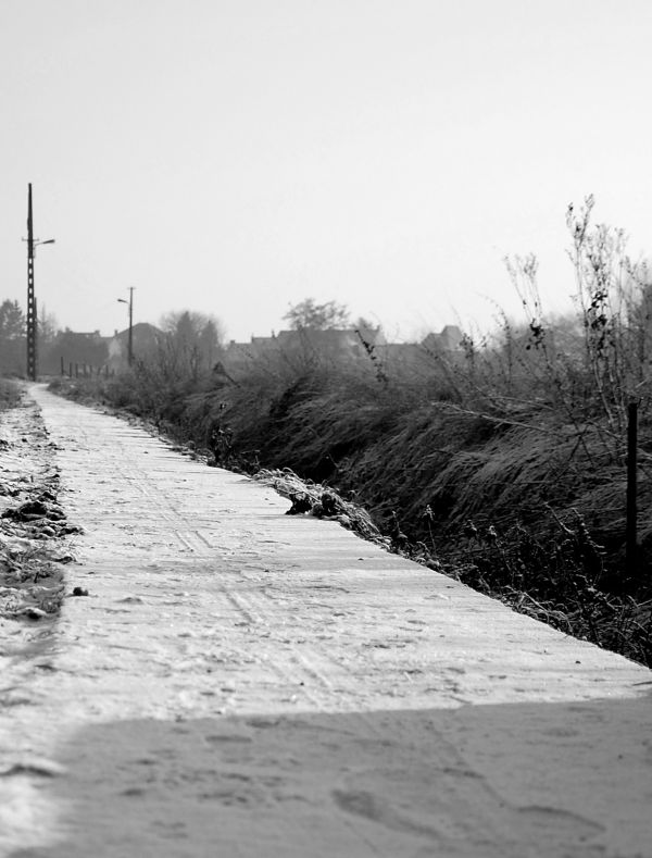 Path in snow